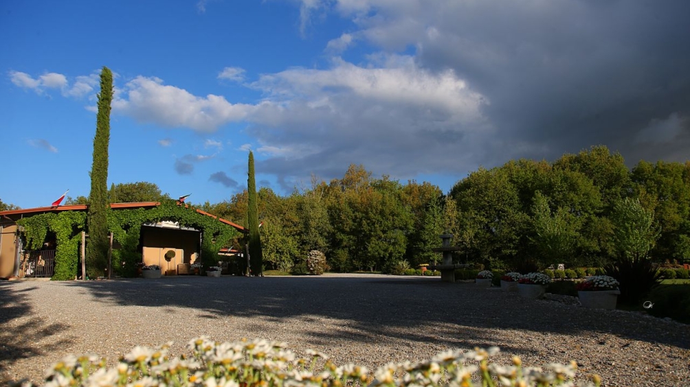 http://www.giacomocapacciarabians.com/core/image.php?src=app/media/uploads/website/4/photos/website_posts/24/A46Q1840.jpg&width=1004&height=564