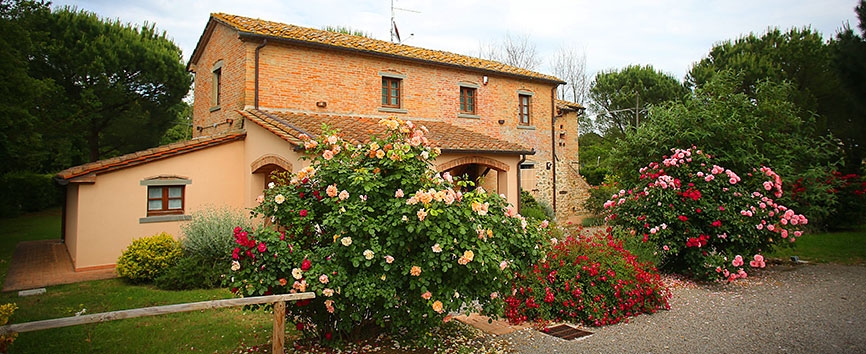 http://www.giacomocapacciarabians.com/core/image.php?src=app/media/uploads/website/4/photos/website_posts/24/A46Q8398.JPG&width=1004&height=564