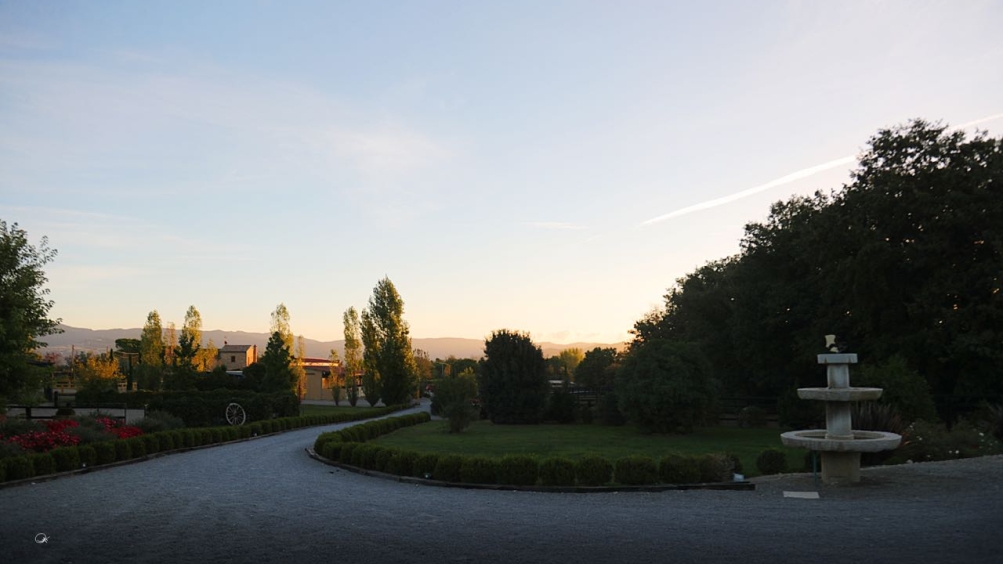 http://www.giacomocapacciarabians.com/core/image.php?src=app/media/uploads/website/4/photos/website_posts/24/AB6I6033.jpg&width=1004&height=564