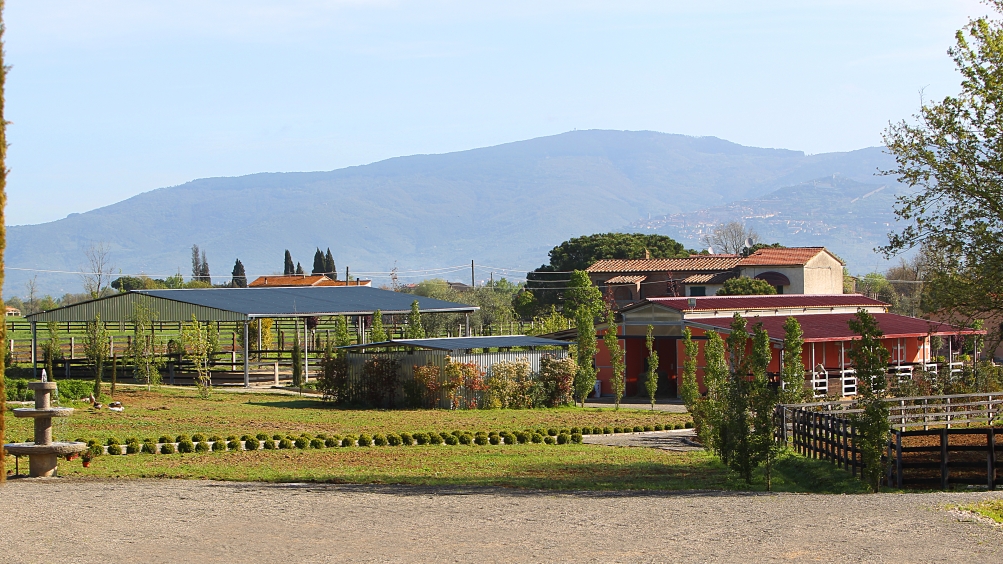 http://www.giacomocapacciarabians.com/core/image.php?src=app/media/uploads/website/4/photos/website_posts/24/AX2E0534.JPG&width=1004&height=564