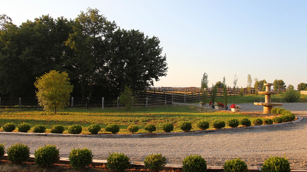 http://www.giacomocapacciarabians.com/core/image.php?src=app/media/uploads/website/4/photos/website_posts/24/AX2E5422.JPG&width=1004&height=564