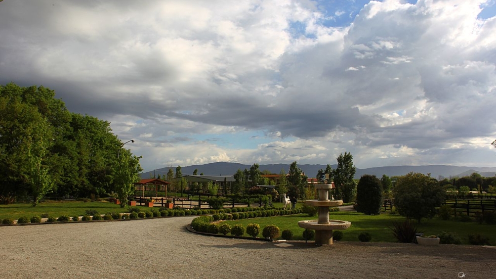 http://www.giacomocapacciarabians.com/core/image.php?src=app/media/uploads/website/4/photos/website_posts/24/AX2E8457.jpg&width=1004&height=564