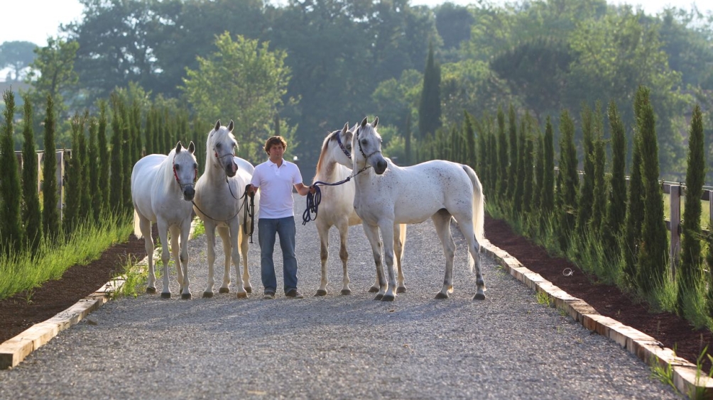 http://www.giacomocapacciarabians.com/core/image.php?src=app/media/uploads/website/4/photos/website_posts/24/AX2E8613.jpg&width=1004&height=564