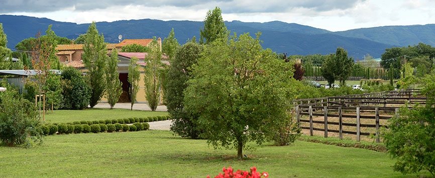 http://www.giacomocapacciarabians.com/core/image.php?src=app/media/uploads/website/4/photos/website_posts/24/FARM_VESTY_3.jpg&width=1004&height=564