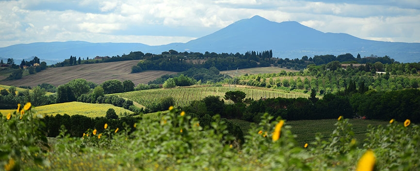 http://www.giacomocapacciarabians.com/core/image.php?src=app/media/uploads/website/4/photos/website_posts/24/FARM_VESTY_4.jpg&width=1004&height=564