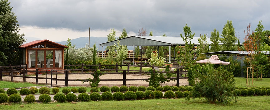http://www.giacomocapacciarabians.com/core/image.php?src=app/media/uploads/website/4/photos/website_posts/24/FARM_vESTY_2.jpg&width=1004&height=564