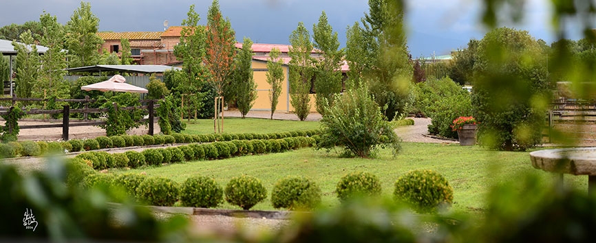 http://www.giacomocapacciarabians.com/core/image.php?src=app/media/uploads/website/4/photos/website_posts/24/farm_VESTY_1.jpg&width=1004&height=564