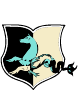 logo-capacci