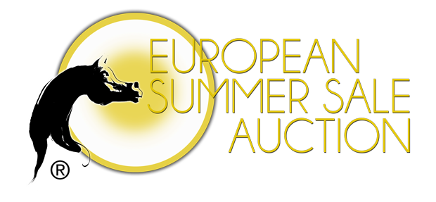 summer-sale-auction